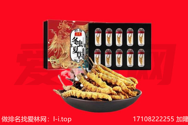 衡水市回收虫草.jpg